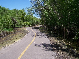 Paul Douglas Trail Flood area